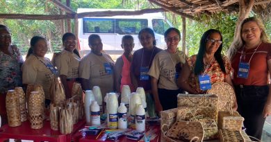 Projeto Raízes de Lagoa Vermelha fortalece artesanato sustentável em São Gonçalo do Piau