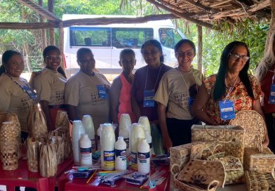 Projeto Raízes de Lagoa Vermelha fortalece artesanato sustentável em São Gonçalo do Piau