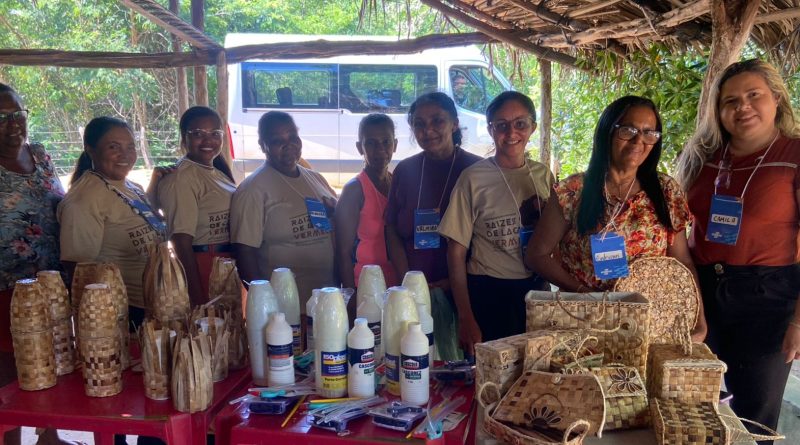 Projeto Raízes de Lagoa Vermelha fortalece artesanato sustentável em São Gonçalo do Piau