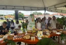 São Gonçalo do Piauí Celebra 62 anos com Programação e Inaugurações